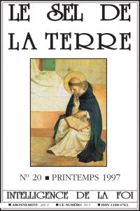 Sel de la Terre n°20